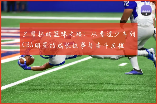 王哲林的篮球之路：从青涩少年到CBA明星的成长故事与奋斗历程